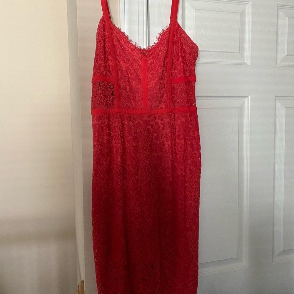 Express women’s lace dress